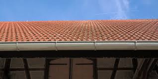 Remplacement de goutti&egrave;res en zinc avec finitions soign&eacute;es &agrave; Bers&eacute;e