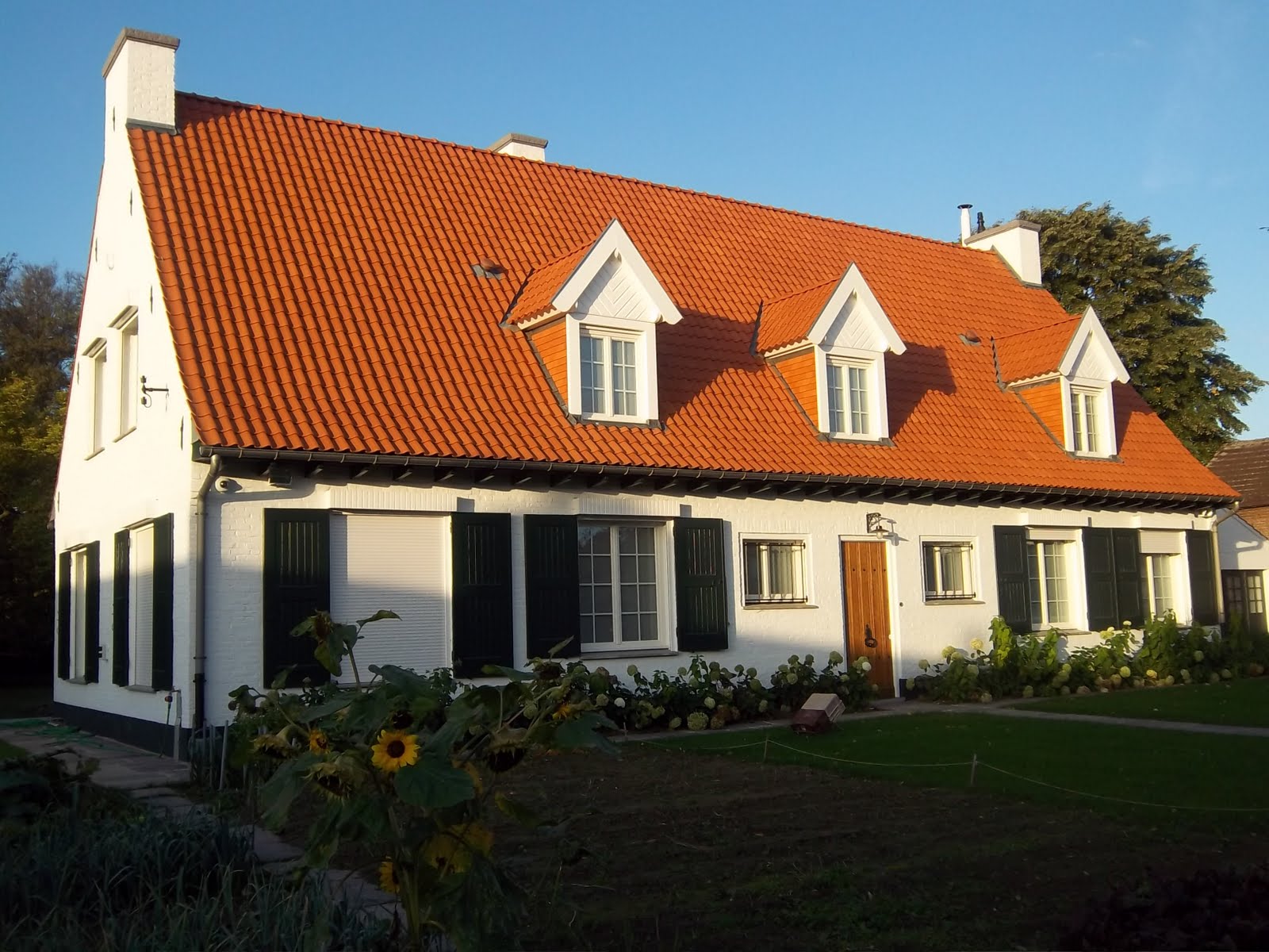 Création de lucarne Mons-en-Pévèle