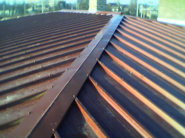 Recherche de fuite de toiture apr&egrave;s infiltration d&rsquo;eau sur habitation &agrave; Lesquin