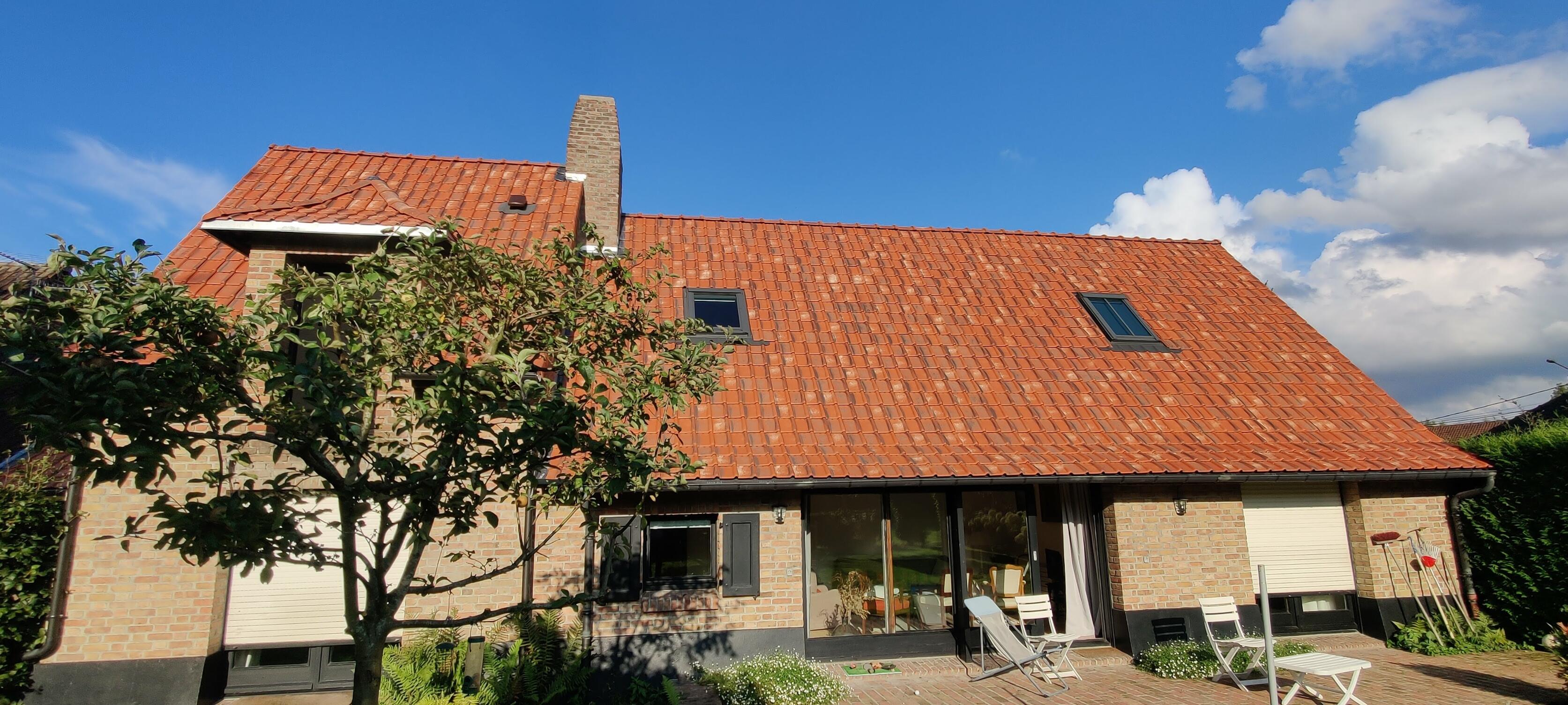 Démoussage et entretien de toiture pour préserver la couverture à Abscon