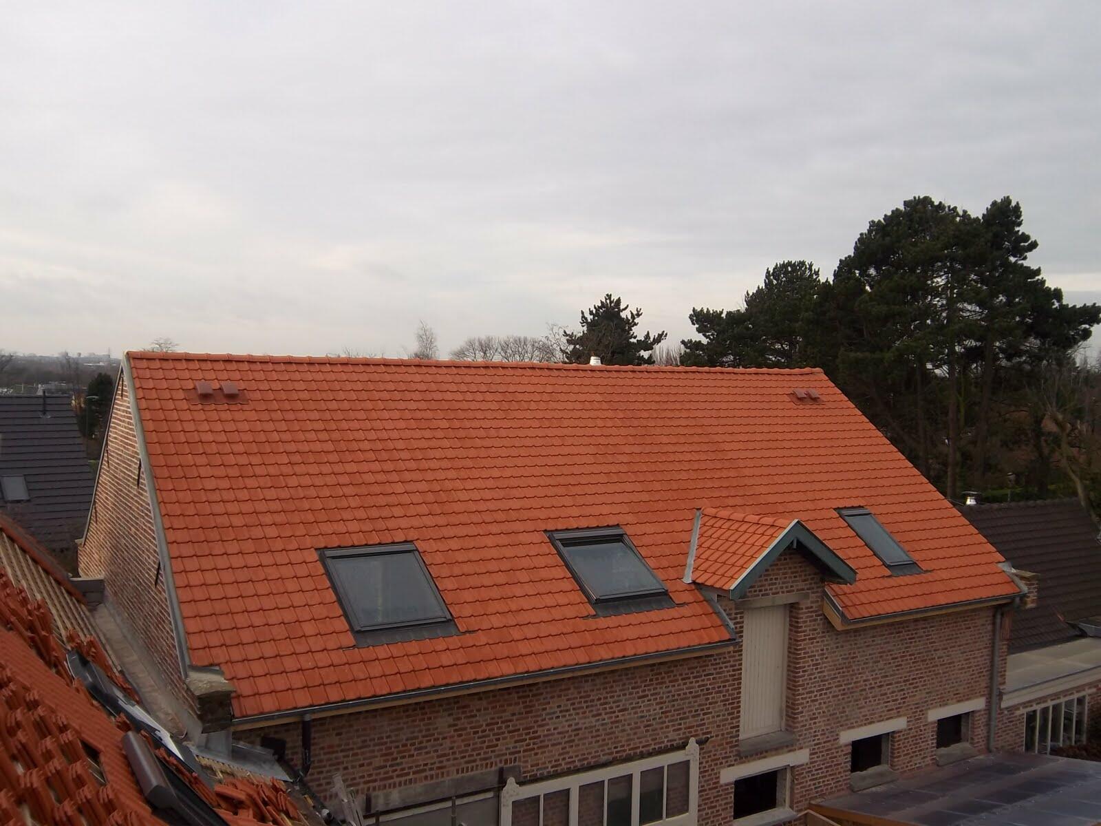 Démoussage et nettoyage de toiture pour prolonger la durée de vie de la couverture à Bersée