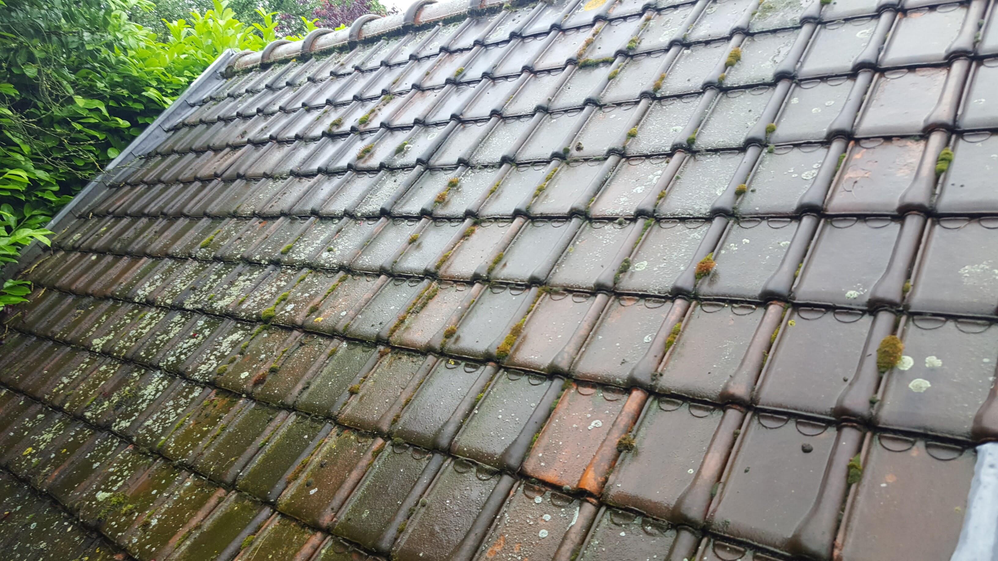 Expertise de toiture pour fuite et problèmes d’étanchéité à Flines-lez-Râches